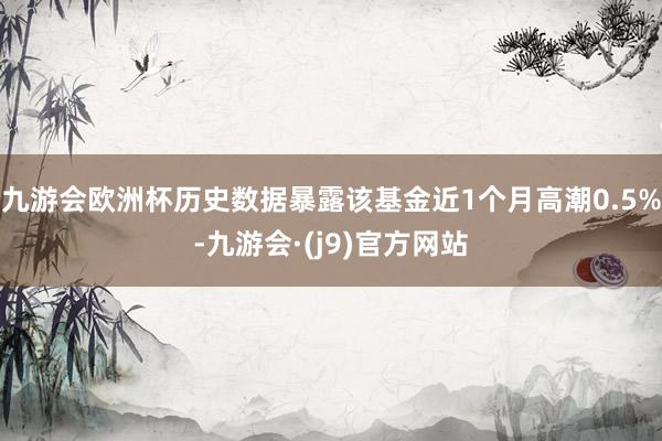 九游会欧洲杯历史数据暴露该基金近1个月高潮0.5%-九游会·(j9)官方网站