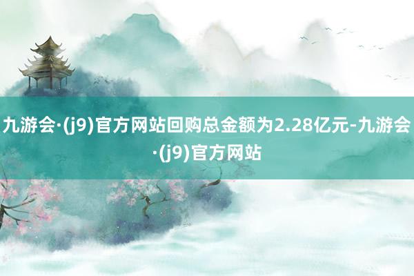 九游会·(j9)官方网站回购总金额为2.28亿元-九游会·(j9)官方网站